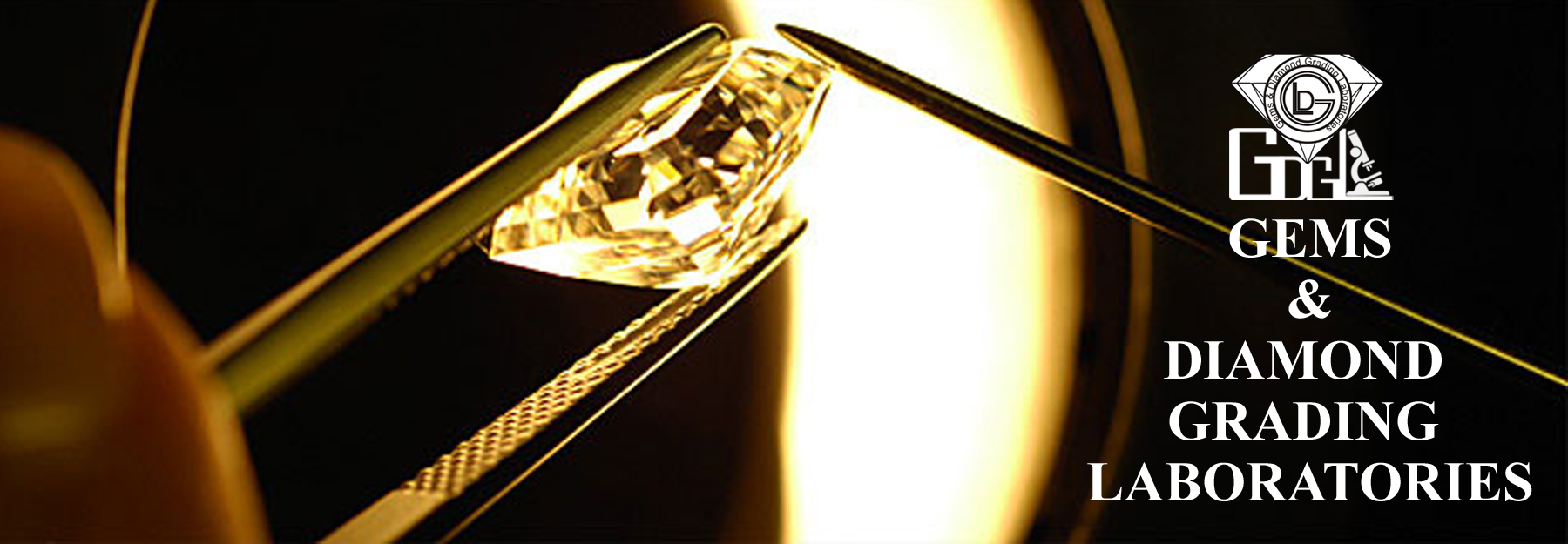 image_2024-03-01_131245318