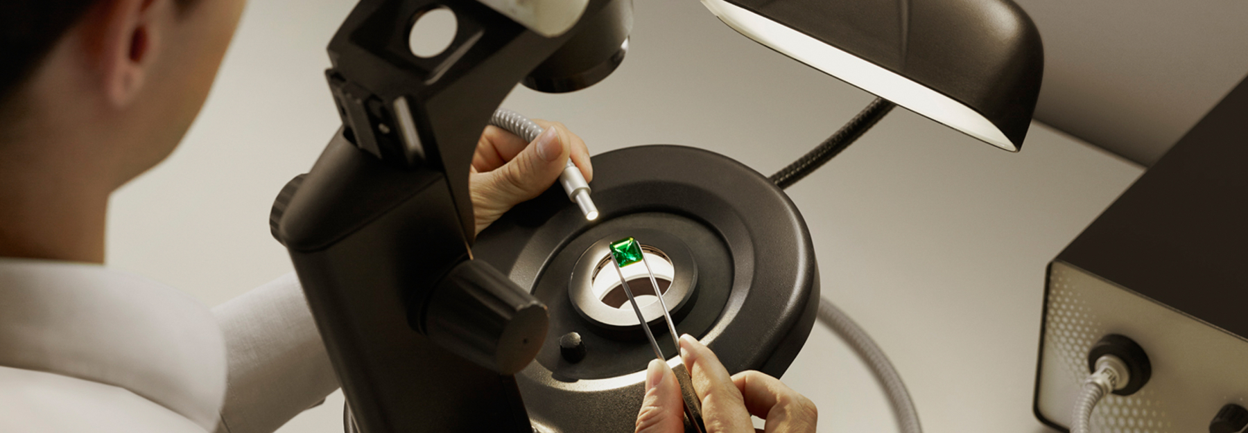 image_2024-03-01_131311222