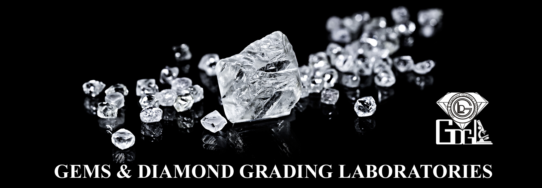 image_2024-03-01_131613890